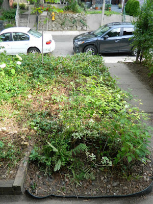 Leslieville Summer Front Garden Cleanup After by Paul Jung Gardening Services--a Toronto Gardening Company