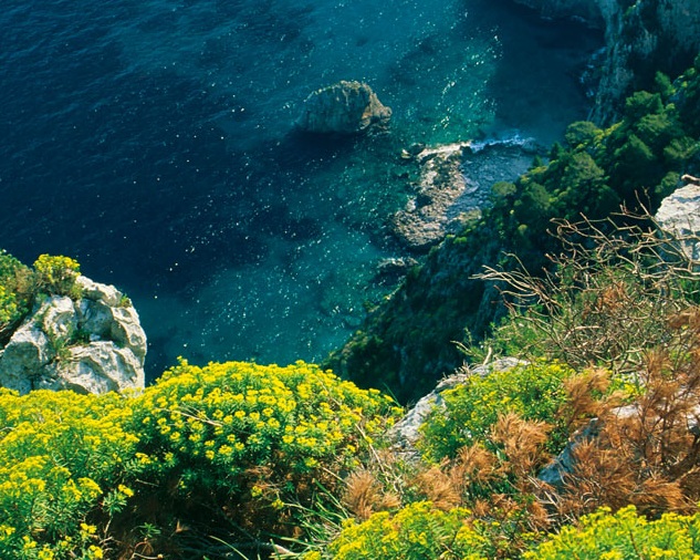 acqua di parma nuova boutique milano via gesù 1 blu mediterraneo eau de toilette profumo fragranza mandorlo di sicilia bergamotto di calabria fico di amalfi arancia di capri mirto di panarea