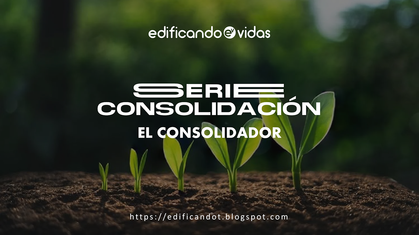 El Consolidador