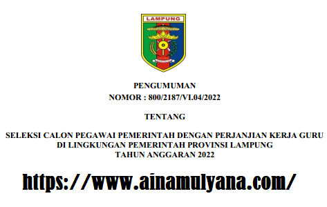 Rincian Penetapan Kebutuhan atau Formasi ASN PPPK Provinsi Lampung Tahun 2022