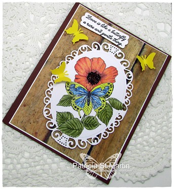 Love is like a Butterfly 2015  f