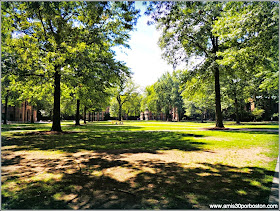 Universidad de Yale: Old Campus