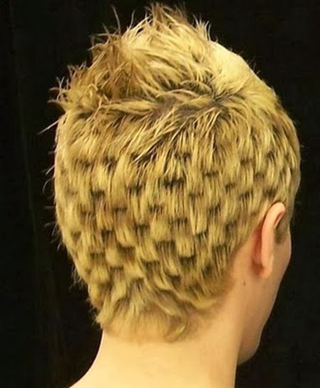http://www.funmag.org/pictures-mag/funny-pictures/weird-hairstyles/
