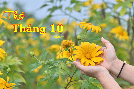 1001 bài thơ tháng 10, chào tháng Mười yêu thương & nỗi nhớ