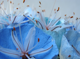 Asfodelo e fiori di carta per un bouquet ecologico turchese acquamarina