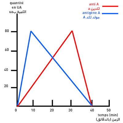 la description et l'analyse d'un graphe = وصف و تحليل مبيان خيار عربي و فرنسي