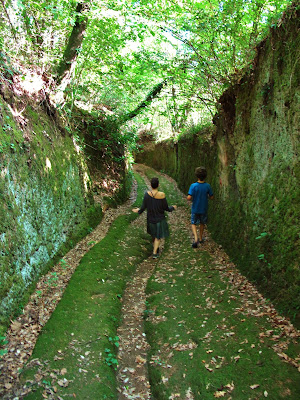 Shaded canyon of the San Rocco Via Cava near Sorano, Tuscany, Italy