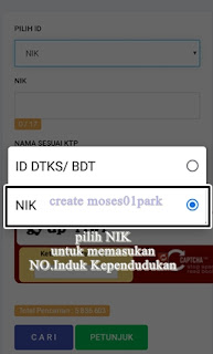 pilih NIK di cekbansos.siks.kemensos.go.id