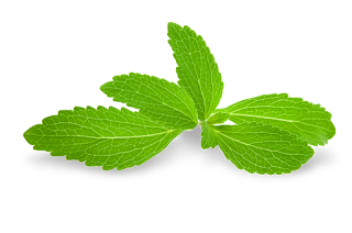 pemanis stevia