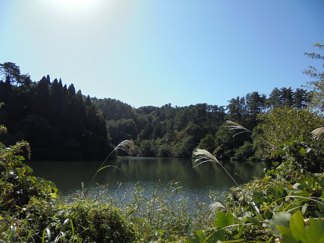 36号名和岸本線沿いにある美しい池