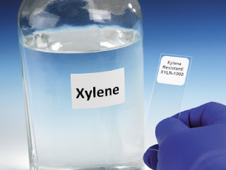 xylene 2