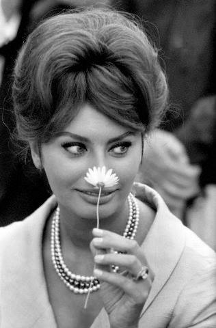 Sophia Loren Profile pictures, Dp Images, Display pics collection for whatsapp, Facebook, Instagram, Pinterest.