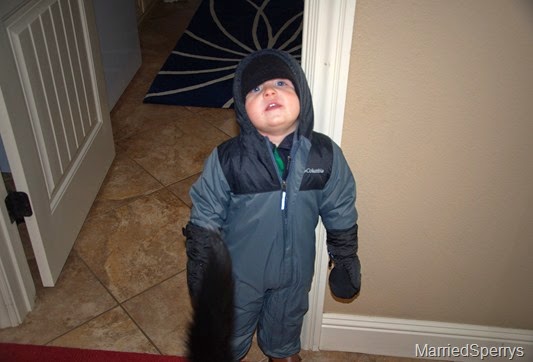 Feb15_02_16_2015_897.NEF