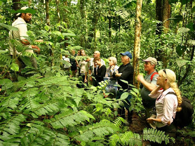 Turismo en Ecuador – Cotococha Amazon Lodge - Tena