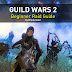 [GW2] Guild Wars 2 - Beginner Raid Guide by Brodernot2