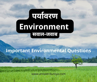 Important questions and answers related to the environmen