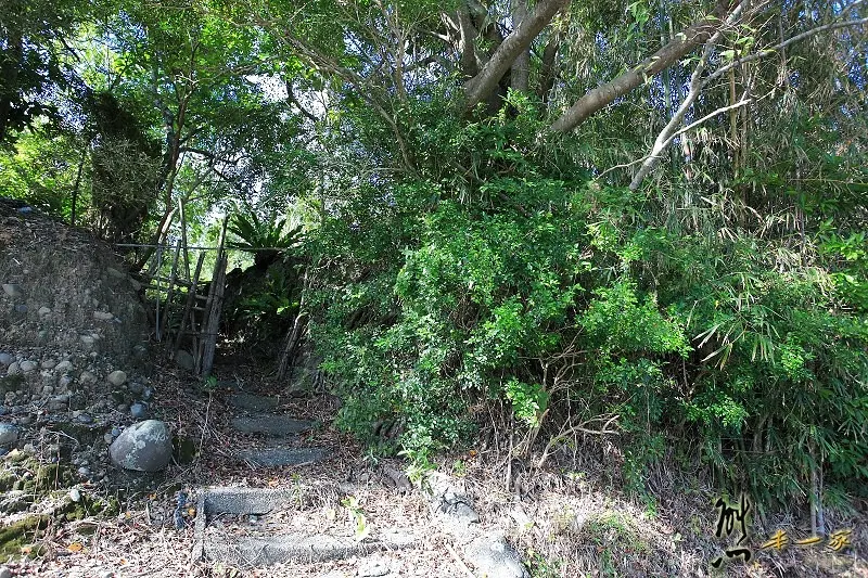 水璉村落｜水璉國小｜百年檜木老屋