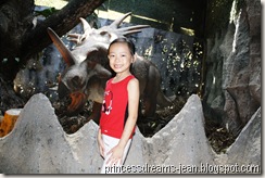 AIMG_9116