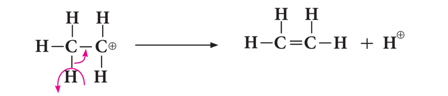 3. The cleavage of proton from carbonium ion and formation of double bond and cation: