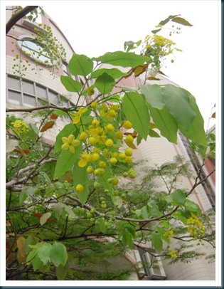 clip_image002