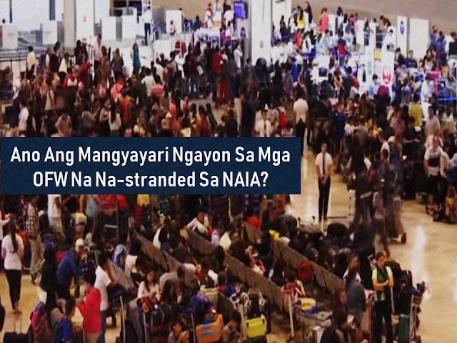 Thousands of overseas Filipino workers (OFW) and other passengers had been stranded at the Ninoy Aquino International Airport (NAIA) due to the excursion of a Xiamen Air which slipped off and got stuck at the runway and last week. Luckily, all passengers and crews were safely evacuated. However, the incident affects all the passengers at the NAIA because the said incident forced all other airlines to cancel their flights. The result, thousands of travelers were stranded for days without food and a decent place to stay.        Advertisement  The plane was already out of the runway but the passengers including thousands of OFWs who were about to return to their workplace were still staying there like evacuees lingering all over the airport without any clear assurance that their flights may be rebooked or refunded. They were not given any food or hotel accommodations by their airlines.      Under the passenger Bill Of Rights, in case of flight cancellation, the airline must provide the passengers with sufficient refreshments and meals, hotel accommodations, free call/text and internet service, transportation from the airport to the hotel, and first aid if necessary. The airline company also has to rebook the flight or endorse the passenger to another airline company at no extra cost. If the passenger decides not to fly anymore, the airline company should reimburse the airfare including taxes and surcharges.    Ads  As of this writing, none of these benefits was given to any stranded passengers. The OFWs already missed the designated date when they supposed to be reporting for work. Some of them has chosen to go home instead of staying at the crowded NAIA.     The two pilots of Xiamen Air appeared at the CAAP investigation and explained that the plane did not land successfully on their first approach on the runway due to poor vision in midst of severe rainfall. On their second approach, they made it to the left side of the landing area but it slipped off the concrete runway. The plane has lost its landing front landing gear and one of its engines. MIAA said that the two pilots, which the names were not revealed, were both experts. They drug test also turned out negative while the results of their alcohol test s yet to be released.   Xiamen Air also issued apologies to the affected passenger and promised to extend any possible assistance they could give.    Ads     The Department of Foreign Affairs (DFA) has already instructed the embassies and consulates to extend their assistance to OFWs who had been caught by the incident and were not able to arrive on time to their host country.  Filed under  overseas Filipino workers, Ninoy Aquino International Airport, Xiamen Air,   stranded, travelers, OFW,      Read More: