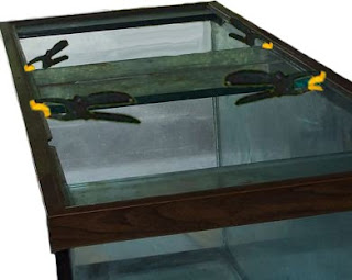 Aquarium Glass Center Divider Repair; Silicone Applications