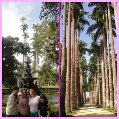 Palmeiras Imperiais no Jardim Botânico do Rio de Janeiro