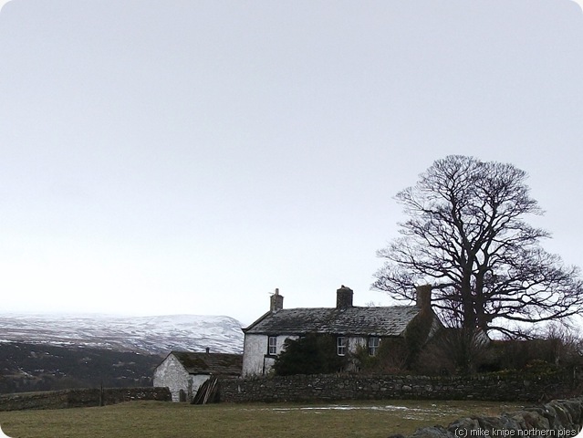 teesdale