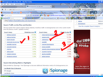 <img src="web traffic analytic.jpg" alt="Web Traffic analytic - 3 keyword yang salah diBintang Marmer">