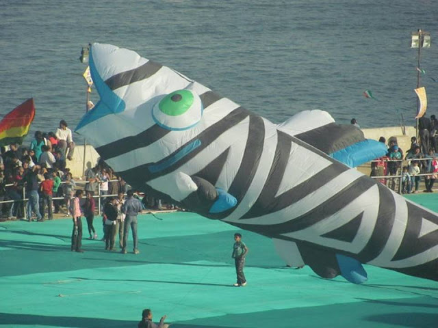 International Kite Festival 2011 - Ahmedabad, India