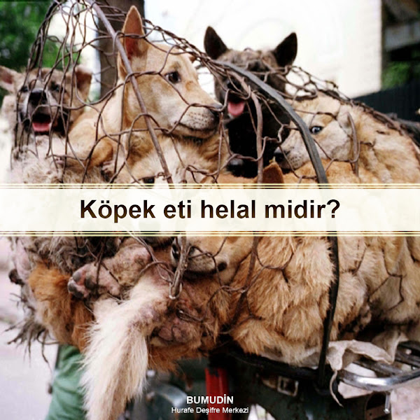 köpek yenir mi