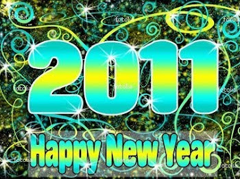 Happy New Year! Tahun baru 2011 !!