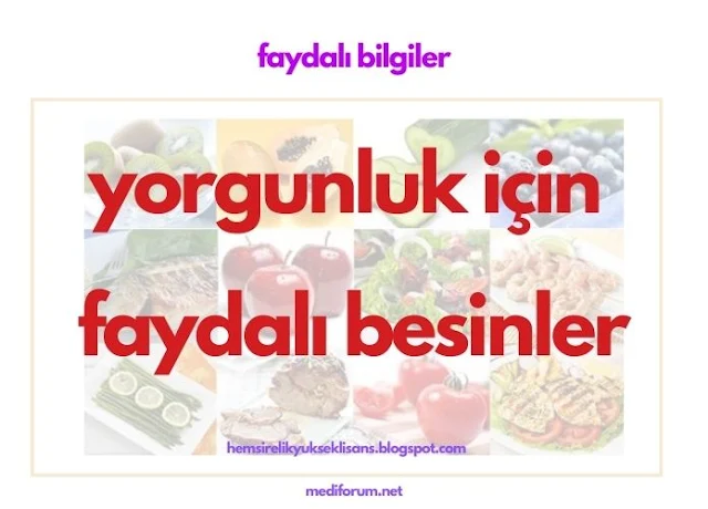 faydalı besinler