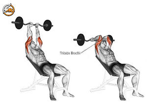 The Ultimate Push Workout for Bigger Chest, Shoulders, and Triceps!