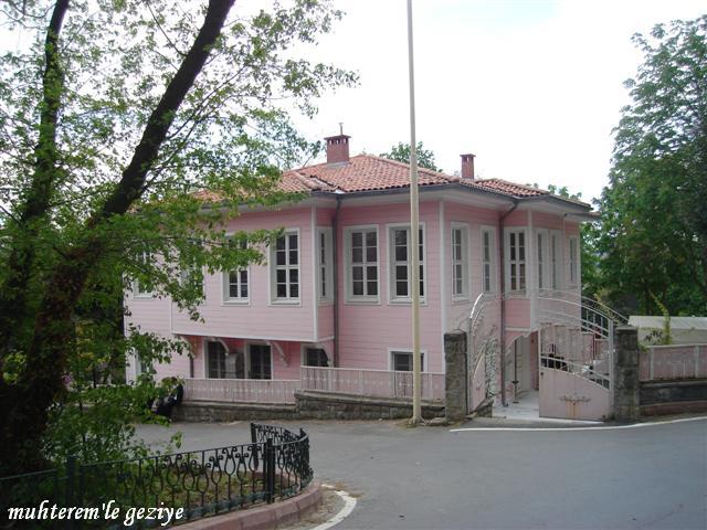 pink mansion