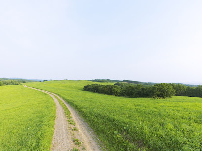 Spring Backgrounds