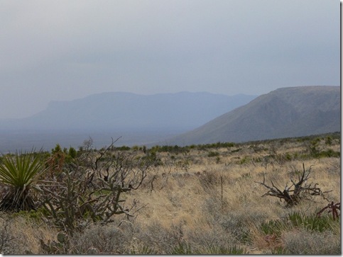 Carlsbad Cavern National Park - Desert Scenic Drive