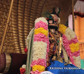Kutty Kannan,Little Krishna,Sri Jayanthi, Purappadu, Thiruvallikeni, Parthasarathy Perumal, Triplicane,