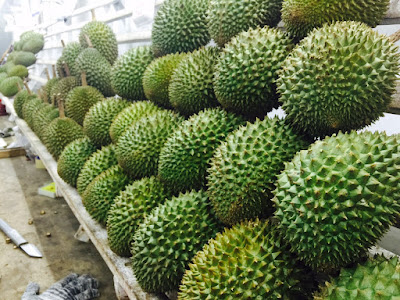 Health Benefits of Durian During Pregnancy and Fetus