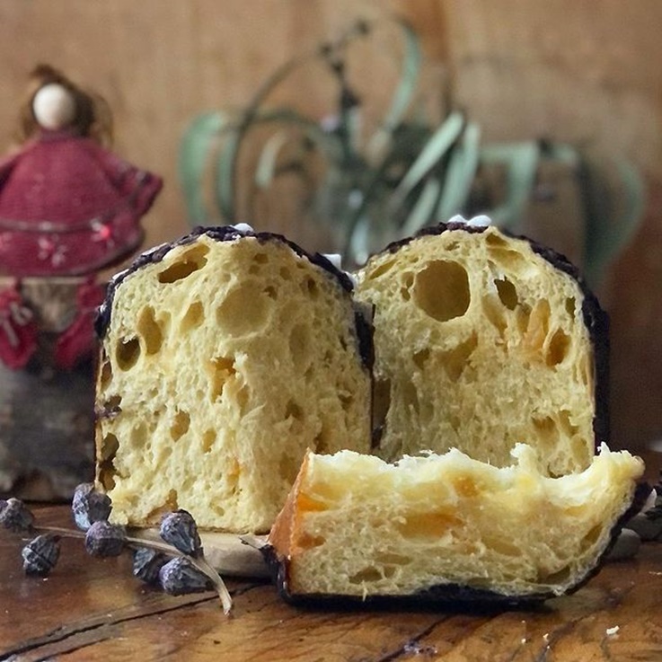 Panettone