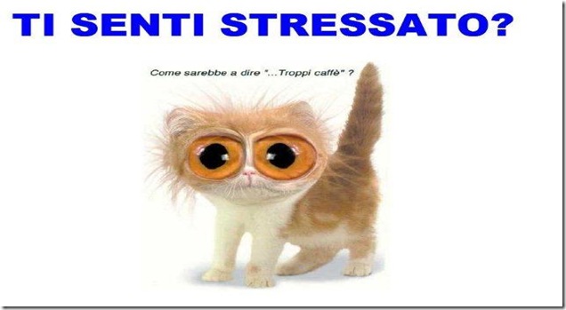 stress