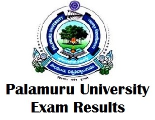 Palamuru University Degree Exam Results 2017