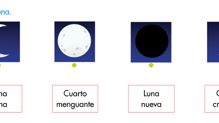 pix Dibujos De Las Cuatro Fases De La Luna Para Niños fases de la luna para colorear para