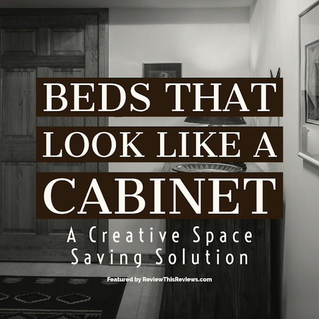 Beds that Look Like Cabinets