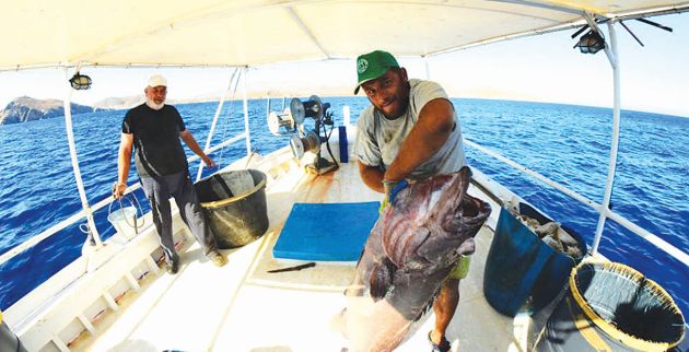 Πανάθεμά τους, τι γυρεύουν και τι προσπαθούν να κάνουν; – Άγνωστες «ναυμαχίες» Ελληνων ψαράδων με Τούρκους στο Αιγαίο