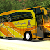 New Marcopolo Haryanto EURO 3 (UKTS)