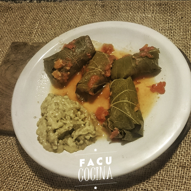 Dolmas: hojas de parra rellenas y Baba Ghanoush (Pasta de Berenjenas)