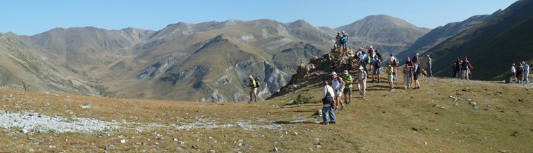 Nº  (41)