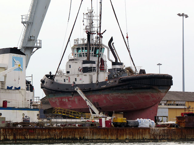 Tug Tito Neri, IMO 9319167, port of Livorno