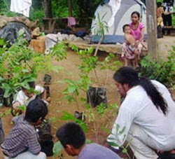 Indigenous Permaculture Training Program